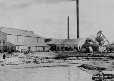 New Primrose Gold Mining Company